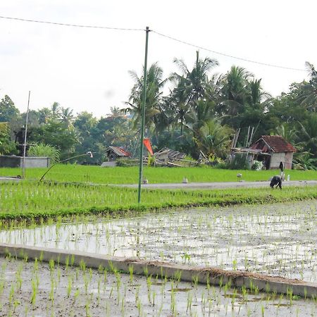 Permana Ubud Cottage Buitenkant foto
