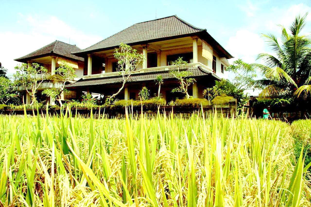 Permana Ubud Cottage Buitenkant foto