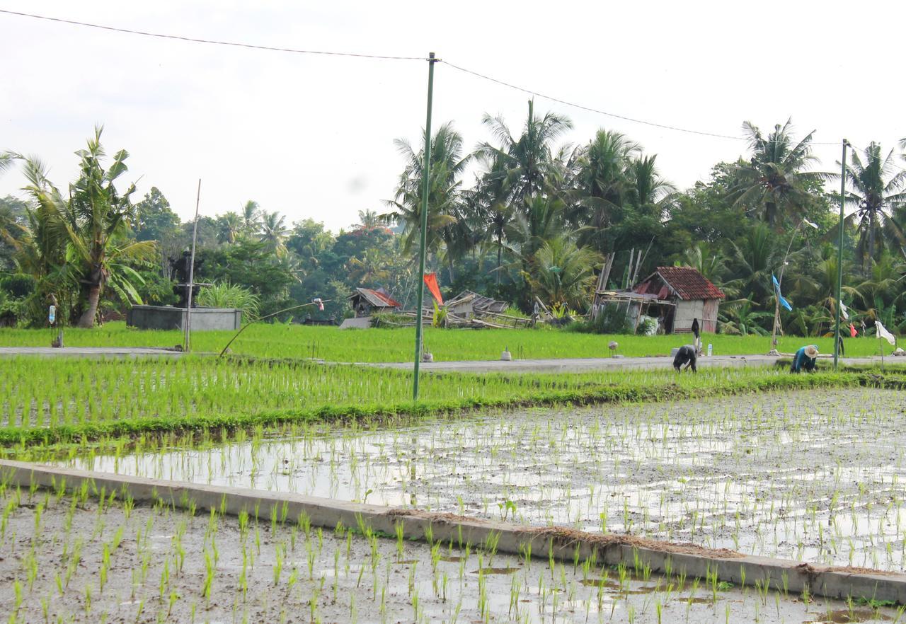Permana Ubud Cottage Buitenkant foto