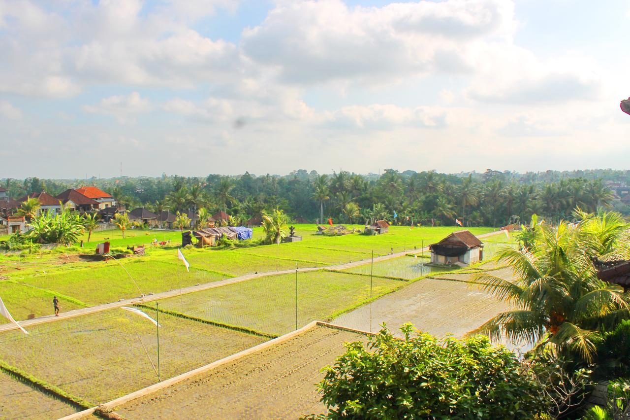 Permana Ubud Cottage Buitenkant foto
